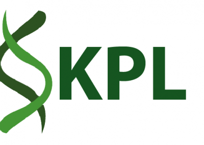 KPL Marketing Promotion Design